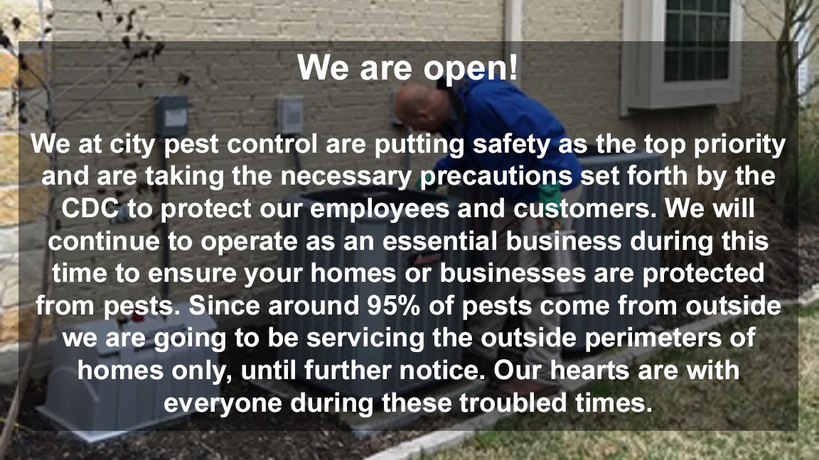 City Pest Control
