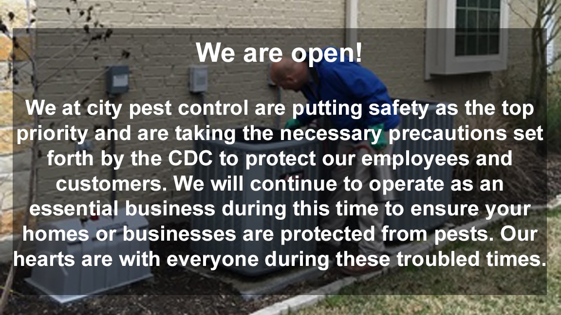 City Pest Control